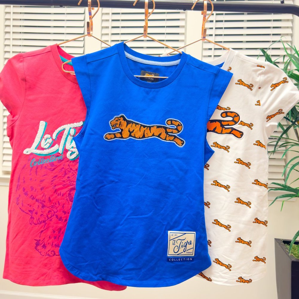 COPY - 3 x 1 New  Women T-shirts , 90's Vintage Style  by Le Tigre